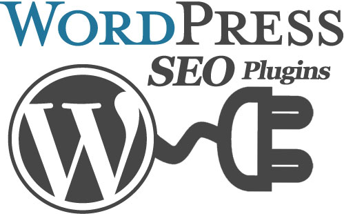 Do Wordpress SEO plugins work