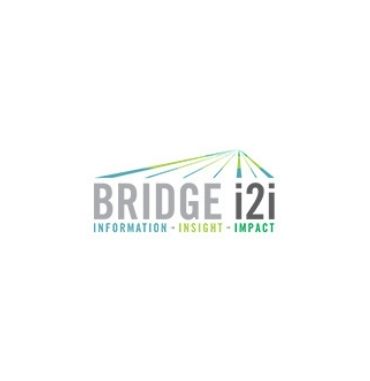 Bridgei2i