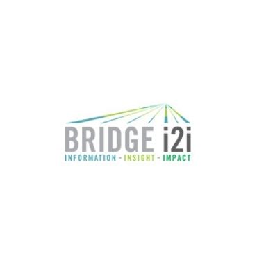 Bridgei2i